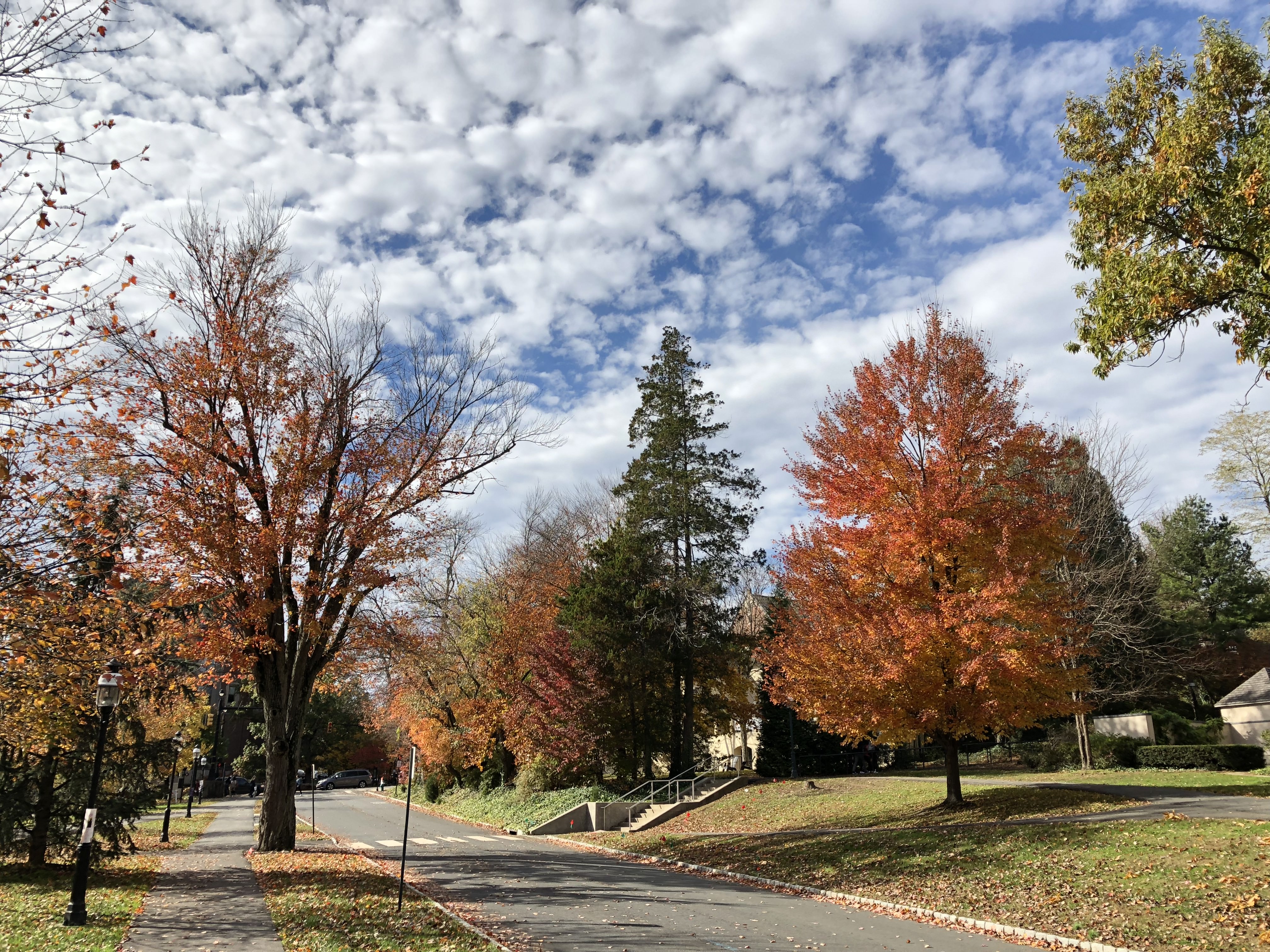 fallcolors